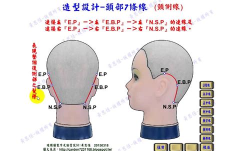 頭部七條基準線中 側頭線是 含義女戒指戴法
